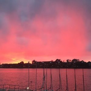 Meet your Posher, Frankie